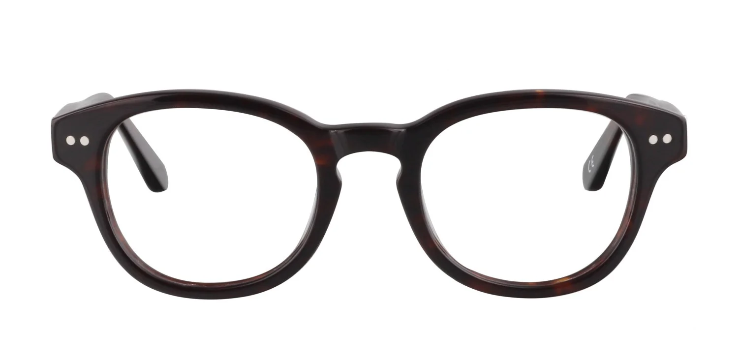 Oprawa okularowa SCR 1703C3