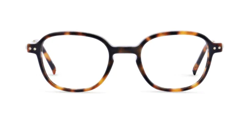 Oprawa okularowa MOREL 1880 60163M TD03