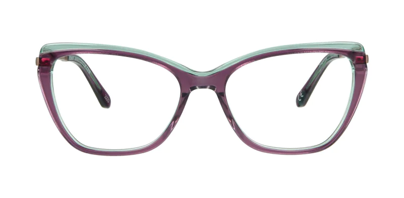 Oprawa okularowa TONNY 48347C4