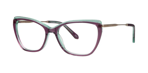 Oprawa okularowa TONNY 48347C4