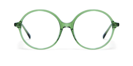 Oprawa okularowa GIGI Studios 8113/7 EREA