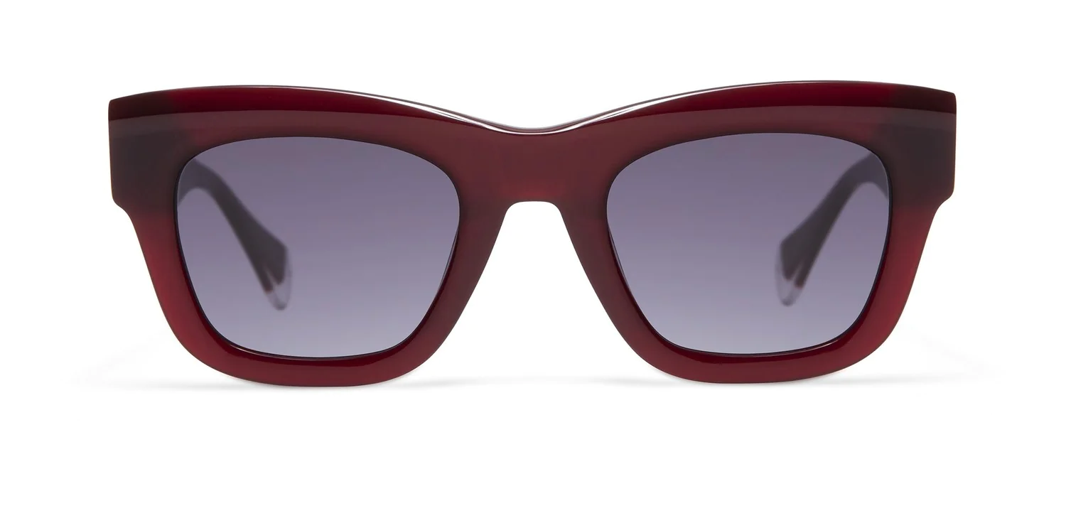 Okulary przeciwsłoneczne GIGI Studios 6897/6 ALFA