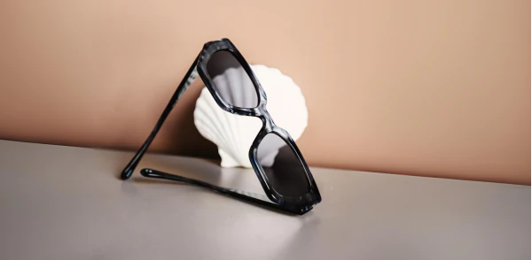 Okulary przeciwsłoneczne TONNY 44033C2