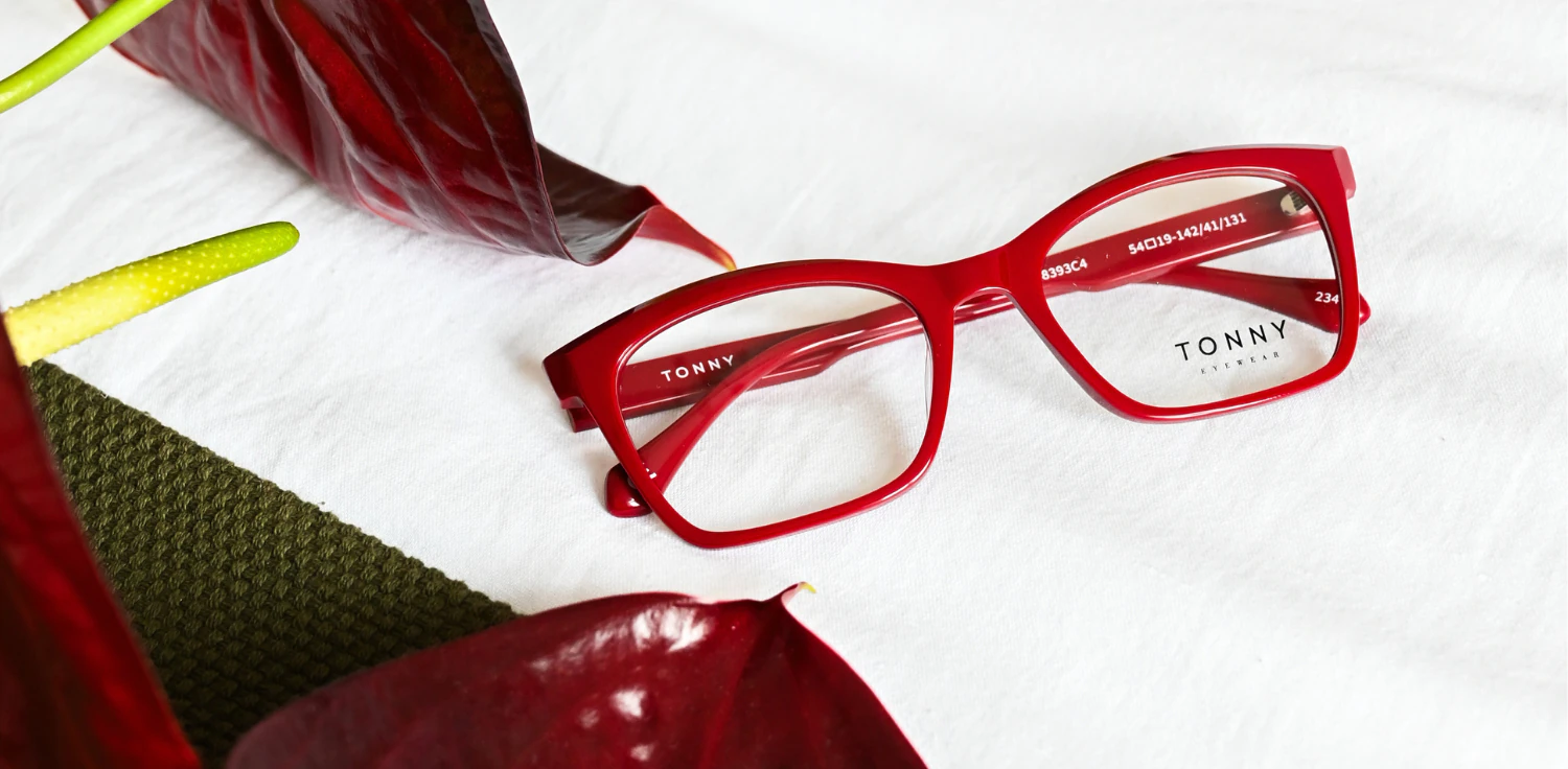 Oprawa okularowa TONNY 48393C4