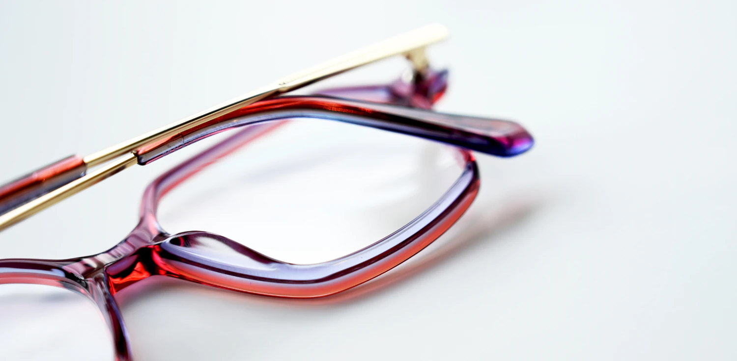 Oprawa okularowa TONNY 14028C2