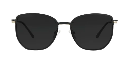 Nakładka przeciwsłoneczna CLIP-ON 48387C2