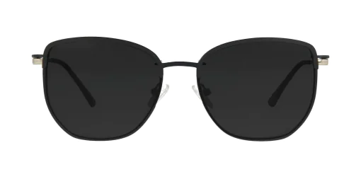 Nakładka przeciwsłoneczna CLIP-ON 48387C5