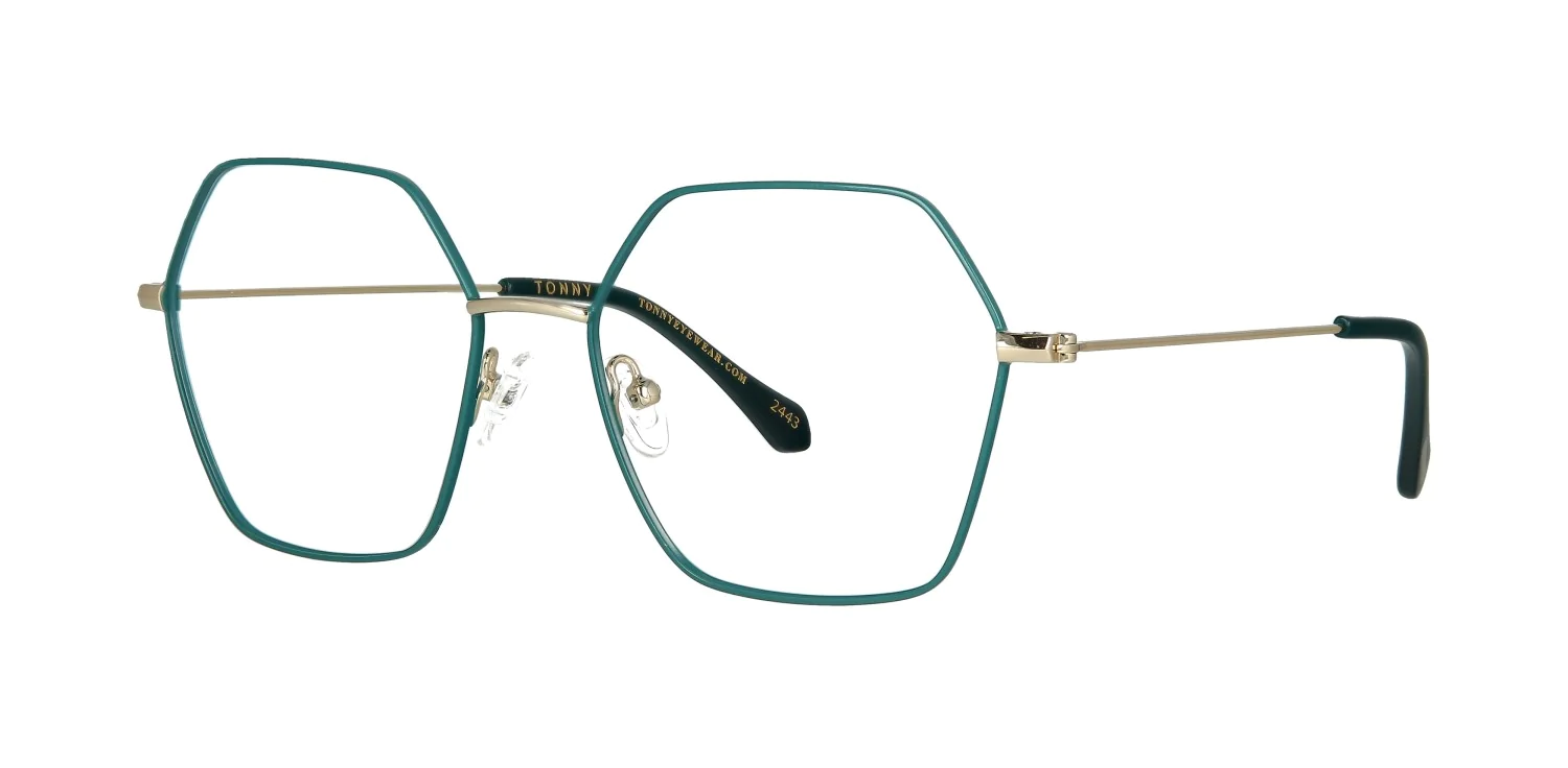 Oprawa okularowa TONNY 44046C4