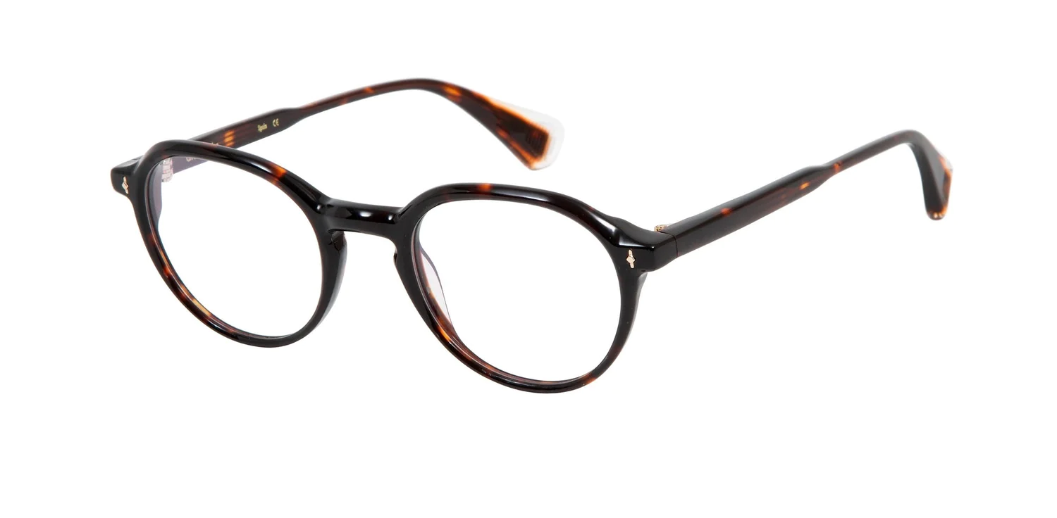 Oprawa okularowa GIGI Studios 6673/2 DARWIN